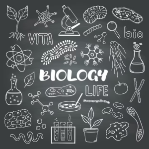 منابع زیست شناسی BMAT